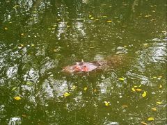 -泉州海丝野生动物世界