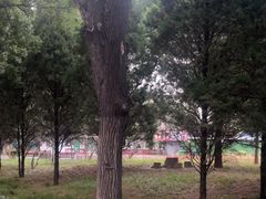 -森林公园(尖草坪区)