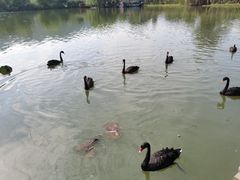 -长兴太湖图影湿地文化园