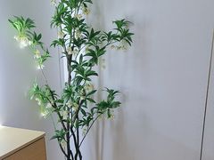 -小隐·采耳头疗spa(环宇城店)