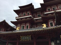 -新加坡佛牙寺龙华院