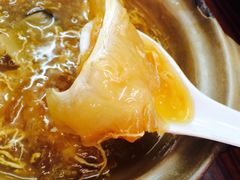 招牌花胶海参大只翅-添發碗仔翅美食