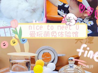 天津探店|nice to meet U 安哥拉兔兔下午茶