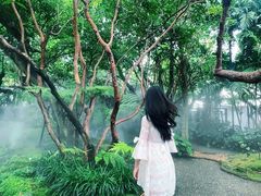 -Chom Cafe and Restaurant