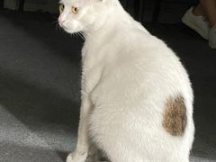 -青沐画室·专业美术培训