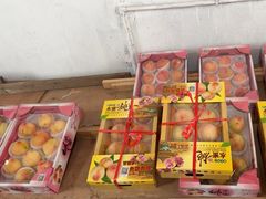 -南汇水蜜桃采摘(大团店)