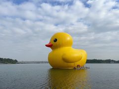 -深圳人才公园