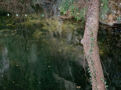 -绍兴东湖风景区