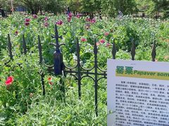 -国家植物园南园