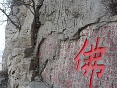 -抱犊崮国家森林公园