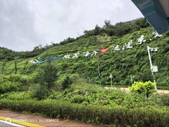 -东澳岛