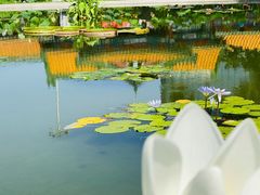 -莲花池公园