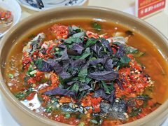 -笨罗卜浏阳菜馆(太平街店)