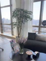 -JNK皮肤管理中心