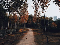 -滨湖塘西河公园