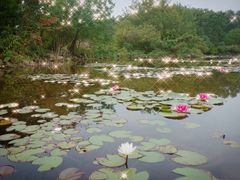 -白马涧龙池景区
