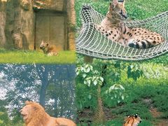 -杭州野生动物世界