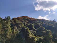 -抱龙峪