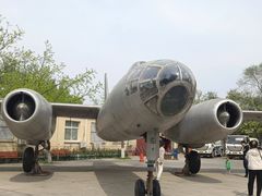 -云岗森林公园