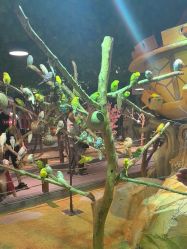 -酷嗒动物文化乐园(cutezoo西溪乐天城店)