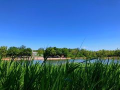 -永定河休闲森林公园