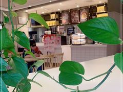 -肯德基(石桥铺店)