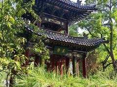 -迎泽公园