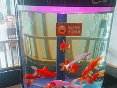 -乐汤汇温泉生活馆