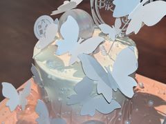 -六伴夏烘焙蛋糕·低糖动物奶油