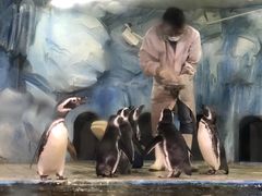 -常州海昌海洋探索馆
