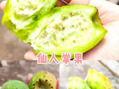 -丽江泸沽湖景区