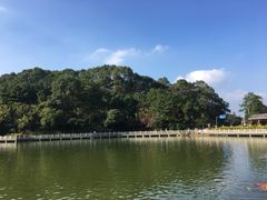 -广州市帽峰山景区
