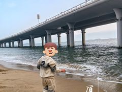 -演武大桥观景平台