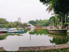 -金砂公园