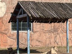 -无锡动物园·太湖欢乐园
