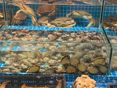 -小老板海鲜酒家(董家渡店)