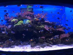 -多彩贵州城极地海洋世界