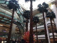 -威斯汀舞台餐厅