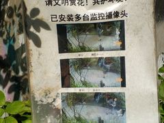 -边渡咖啡烘焙店(昙华林店)