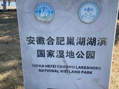 -合肥滨湖国家森林公园