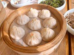 鲜肉小笼汤包-一品小笼(金融街店)