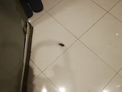 -格淋连锁酒店(南昌八一广场店)