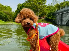 -上海海湾国家森林公园