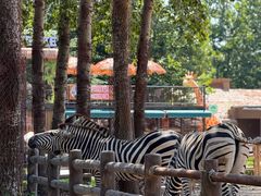 -大连森林动物园