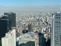 -东京都厅舍