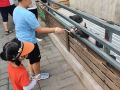 -北京鹿世界主题园