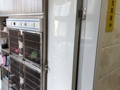 -瑞鹏瑞爱宠物医院·全科·猫科·血液透析中心(龙头寺店)