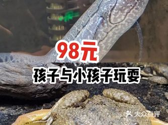 98元，孩子与小动物玩耍