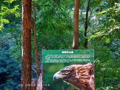 -湖洞水自然风景区