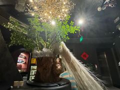 -滇野云南野生菌餐厅(陕西南路店)